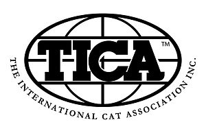 amerikai bengáli macska egyesület